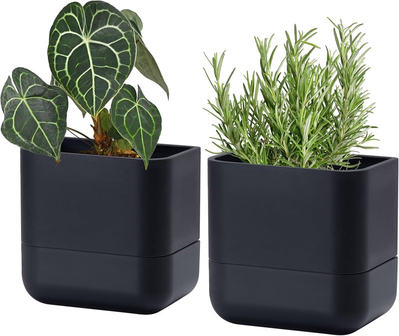 Phoenix Vine 6.5-Inch Wall Mounted Self-Watering Planter Pot for Indoor Houseplants and Herbs | Modern Hanging Planter for Window Sills, Bathroom Walls, Home & Office Décor, Black, Set of 2, 01-WP-B-2 - Image 1